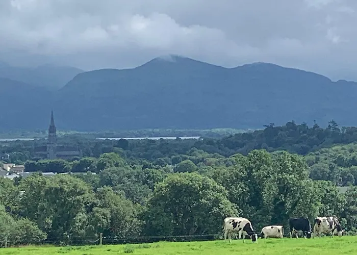 Dom wakacyjny Church View *